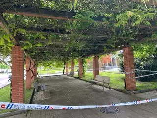 Siero sustituirá una de las pérgolas de madera dañadas en el parque Alfonso X El Sabio de la Pola