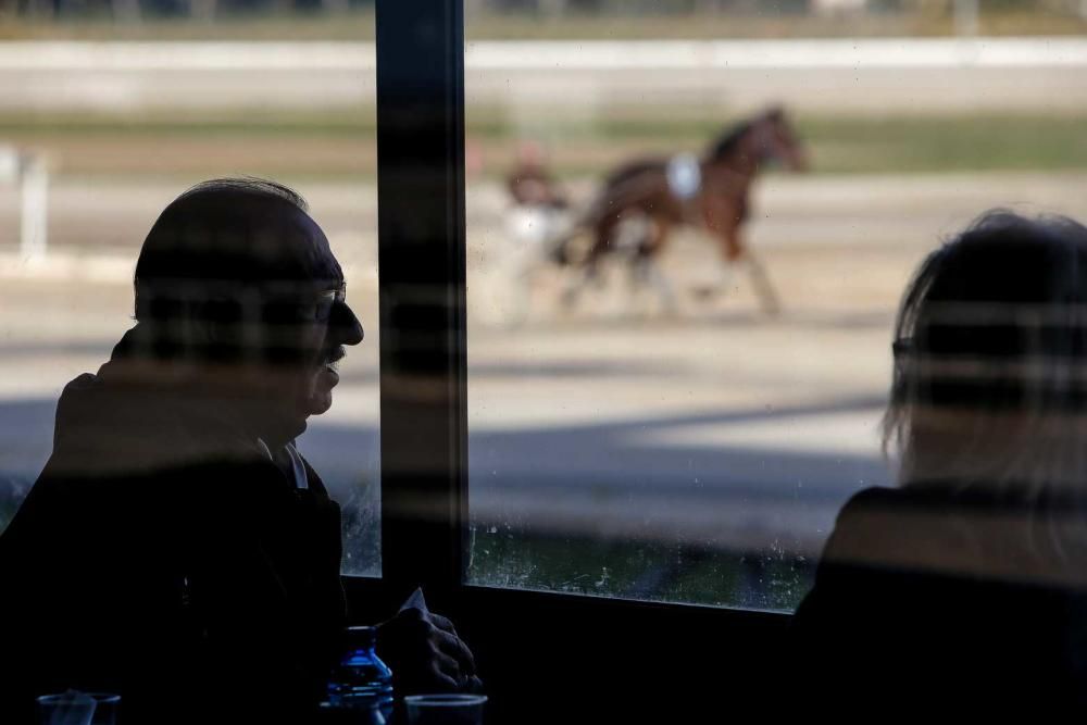 Ambiente en el hipódromo de Son Pardo