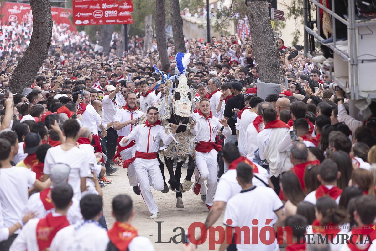 Así se ha vivido la carrera de Los Caballos del Vino en Caravaca