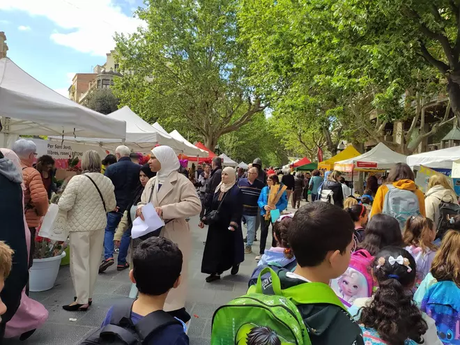 Sant Jordi 2025 a Manresa, en imatges