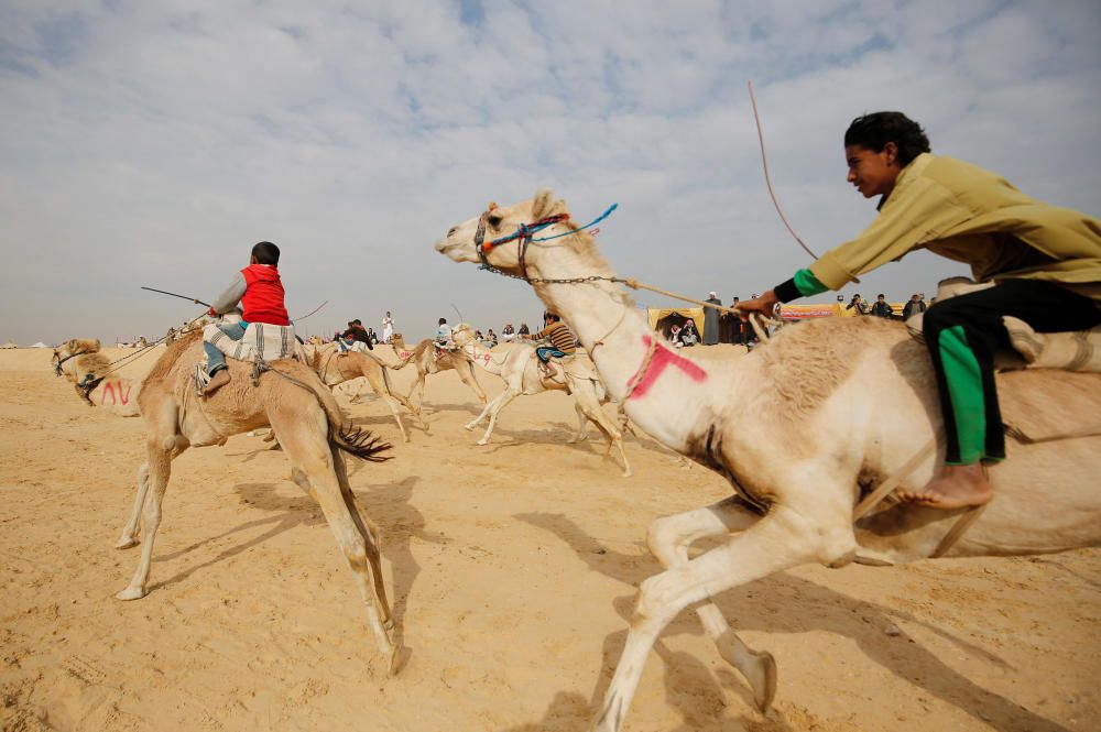 Unos jockeys compiten en el Mundial de Carreras de Camellos que tienen lugar en el desierto egipcio de Ismailia.