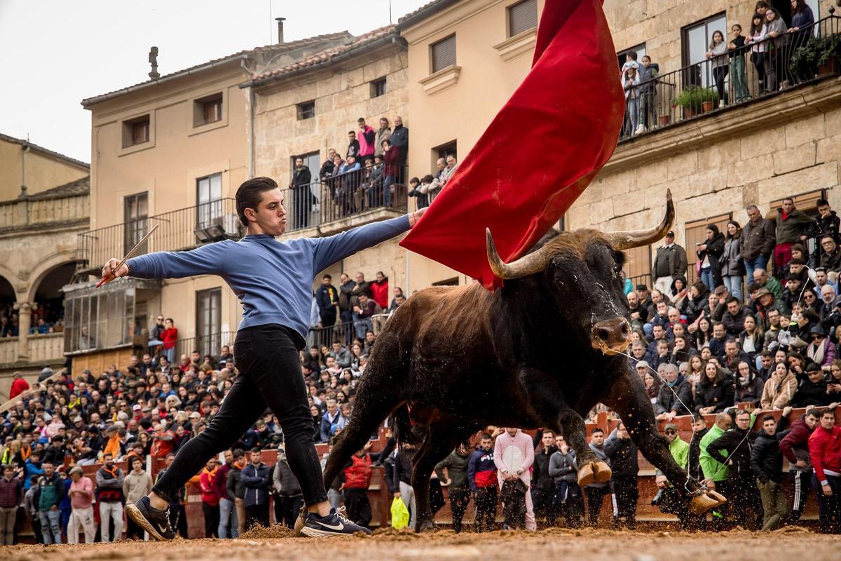 GALERÍA: El martes de Carnaval del Toro en Ciudad Rodrigo se salda con siete intervenciones sanitarias GALERÍA: El martes de Carnaval del Toro en Ciudad Rodrigo se salda con siete intervenciones sanitarias