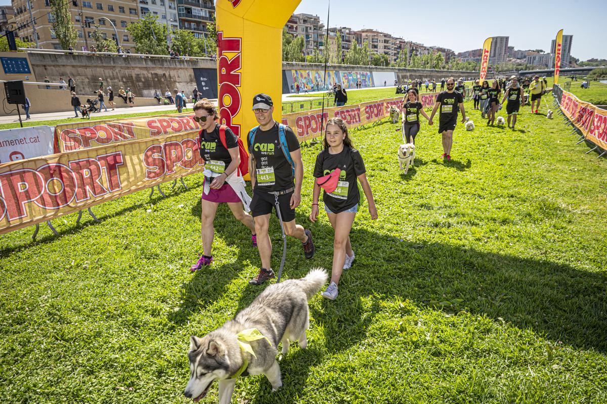 CAN WE RUN BARCELONA. La carrera organizada por Prensa Ibérica y El Periódico de Catalunya con la colaboración de Sport ,  donde las personas y sus mascotas perrunas corren en familia