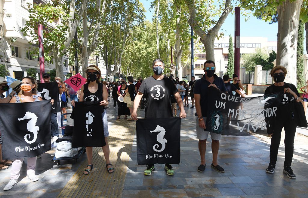 Así ha sido la manifestación por el Mar Menor de este sábado en Murcia