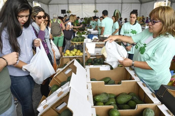 III FERIA DEL AGUACATE