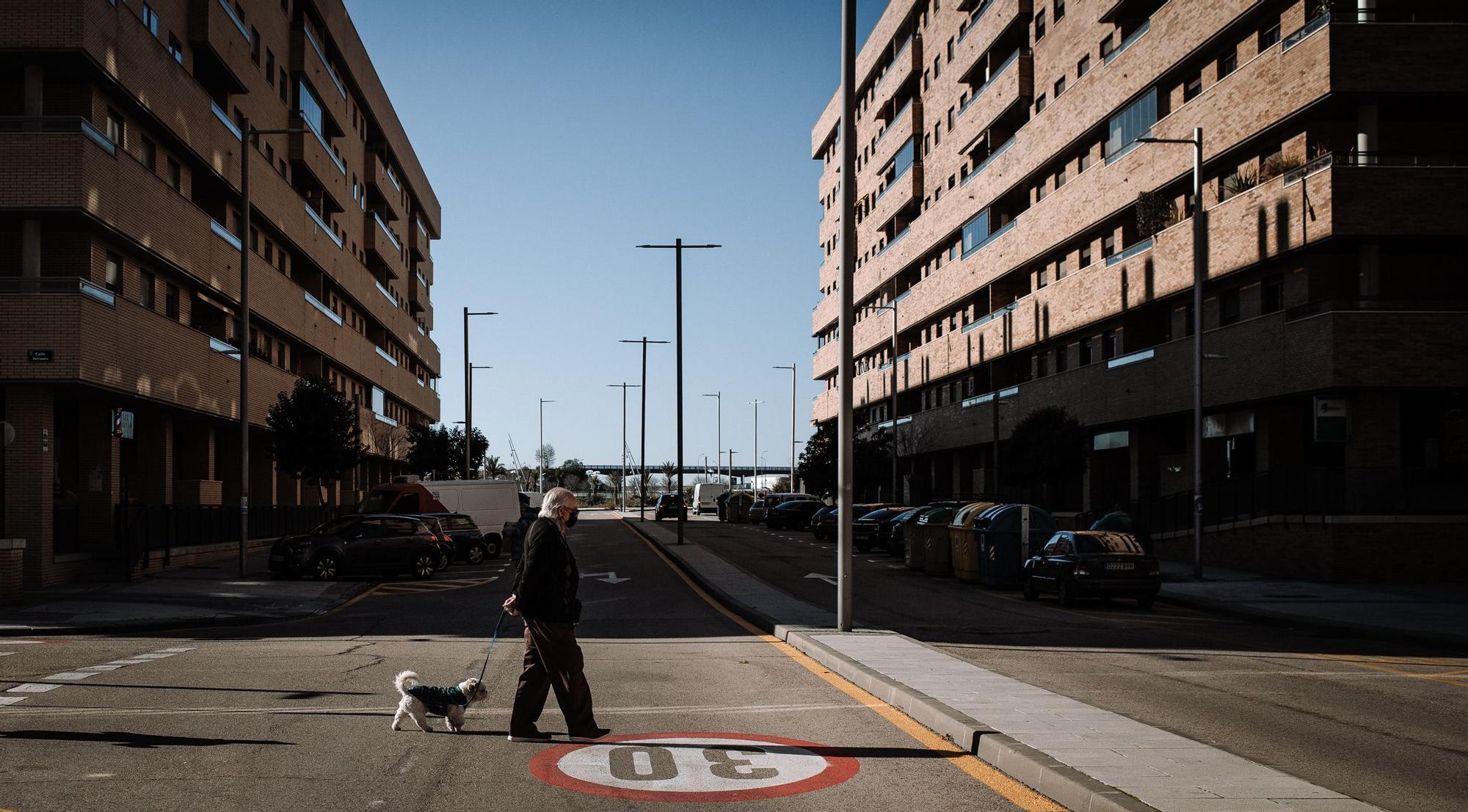 Un vecino de Seseña pasea a su perro