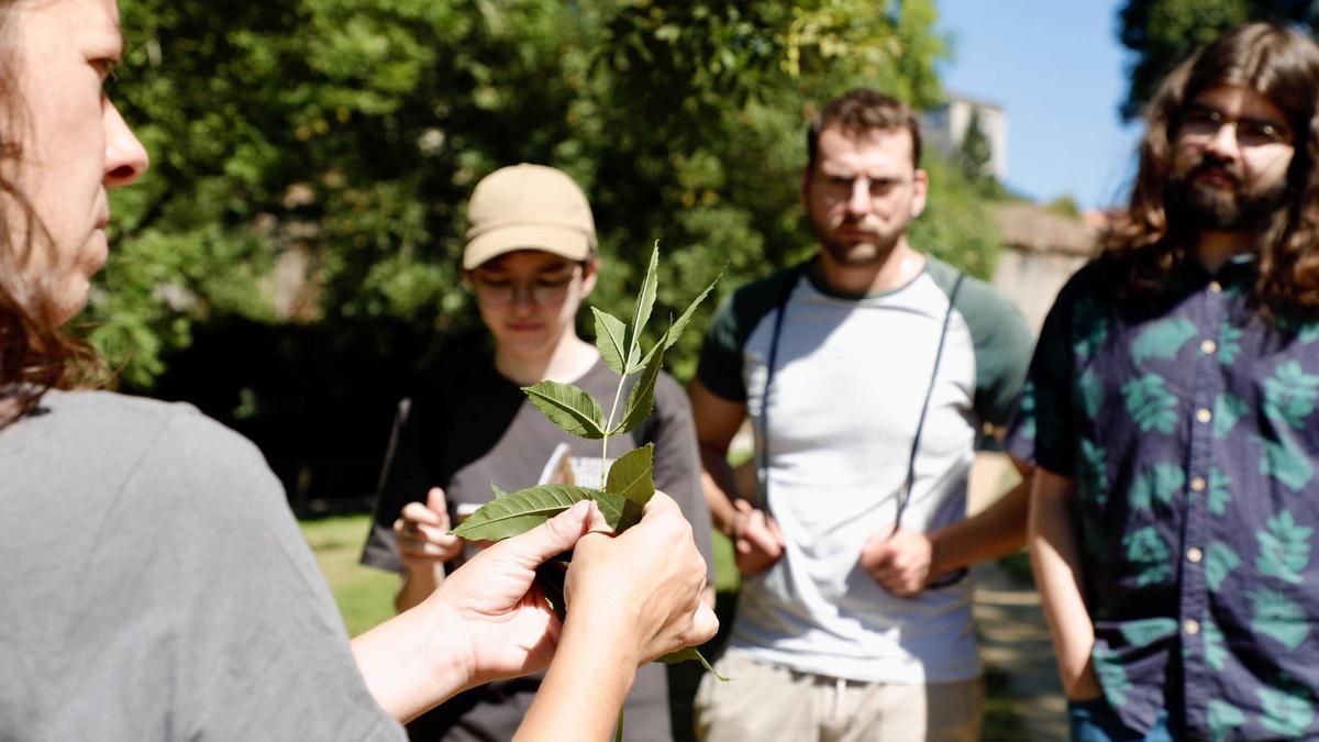 Durante la actividad, la monitora explicó las propiedades de árboles y plantas