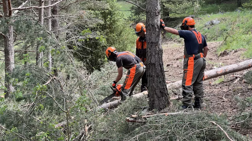 Tasques de prevenció d'incendis a la muntanya d'Alinyà