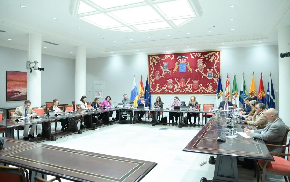 Sesión de la comisión parlamentaria de Política Territorial, Cohesión Territorial y Aguas, ayer.