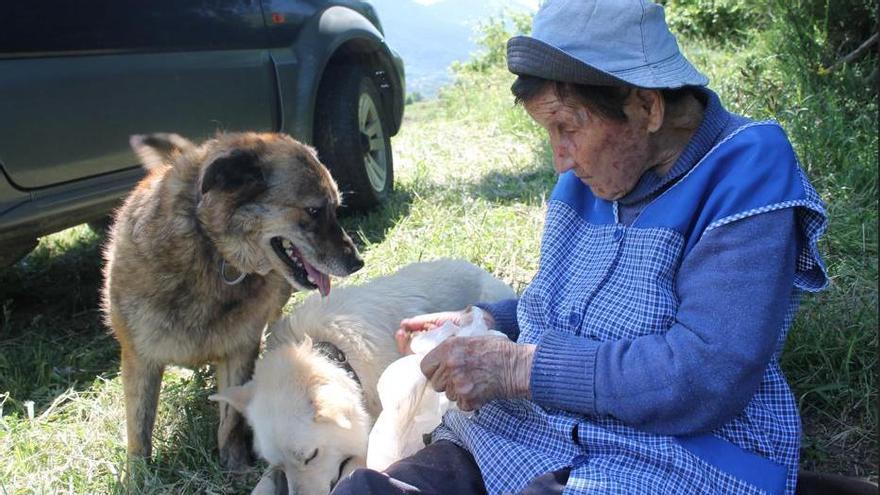 La pastora Marina amb els seus dos gossos, la Petita i en Pinxo