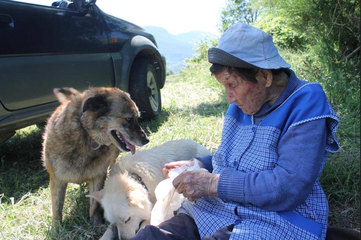 La Petita i en Pinxo, els dso gossos de la Marina.
