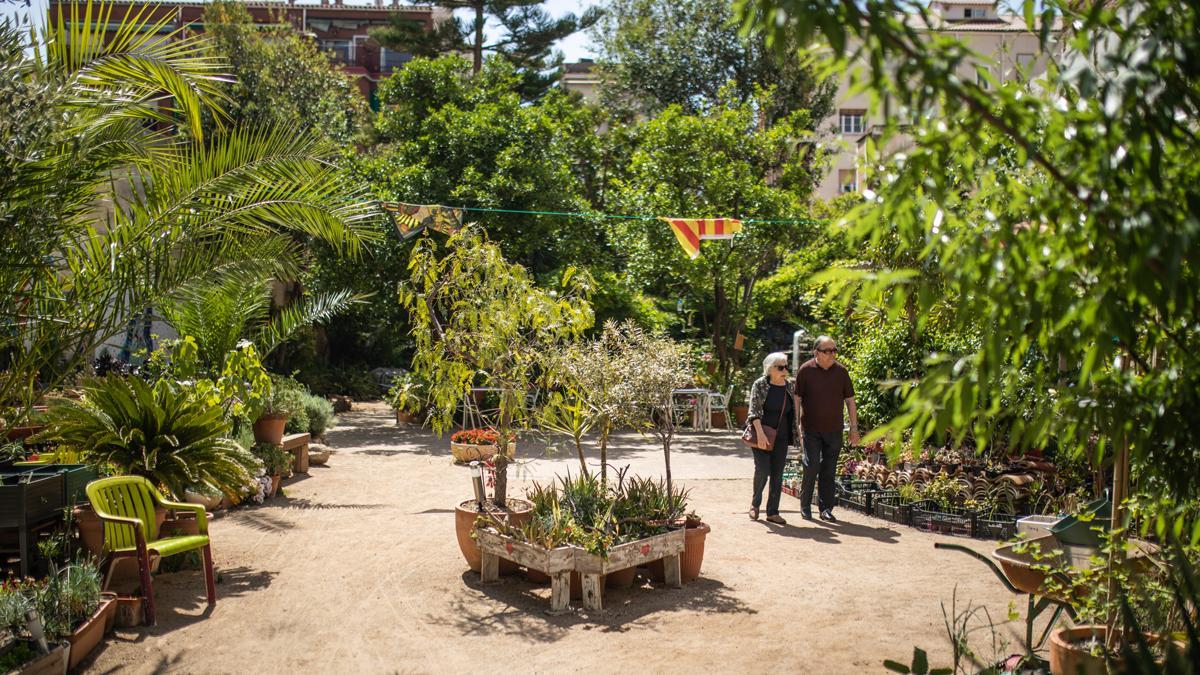 El Jardí del Silenci de Gràcia.