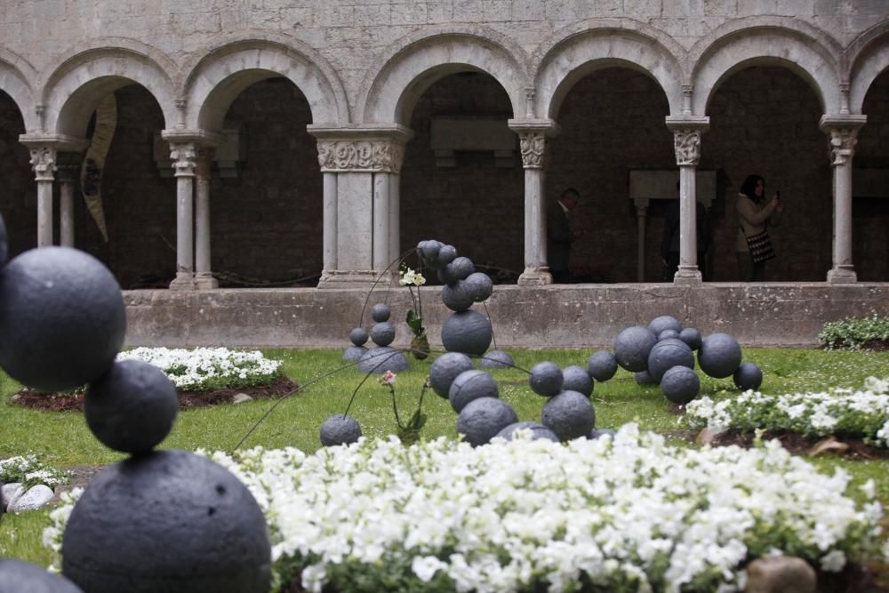 La pluja no desanima l'afluència de públic a «Temps de Flors»