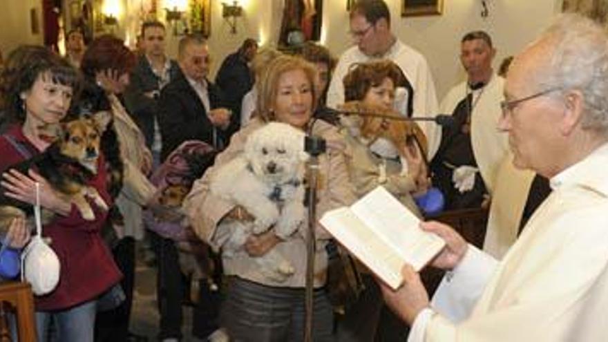 Un momento de la bendición de animales, ayer, en la iglesia de la Orden Tercera