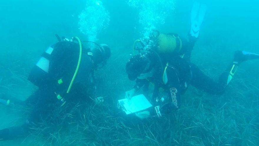 Submarinistas revisando el estado de las algas de Almardá.