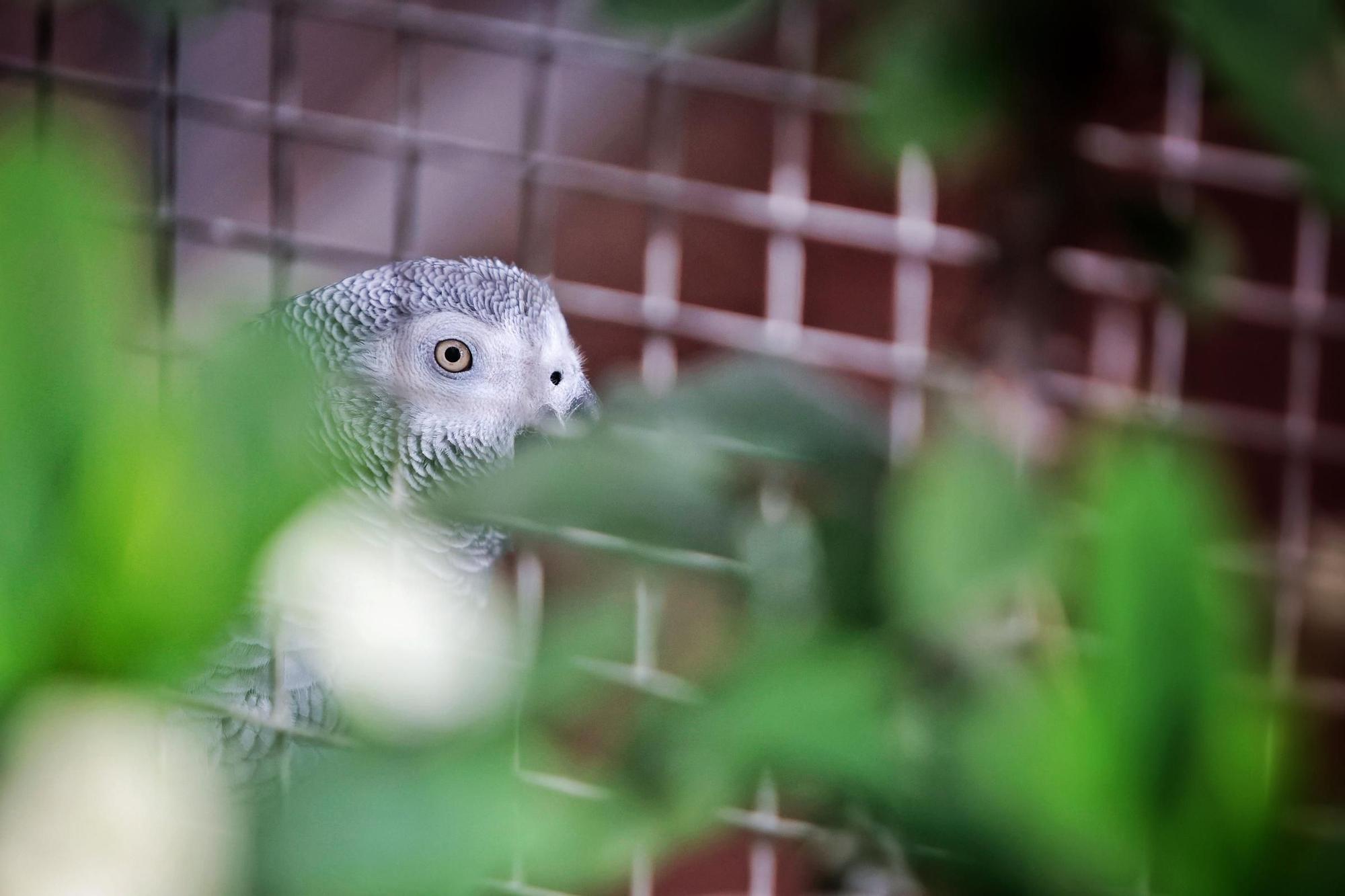 Centro de Fauna Exótica de Santa Cruz