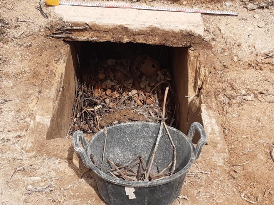 Empiezan las excavaciones en la fosa de Bunyola con el hallazgo de los primeros restos humanos