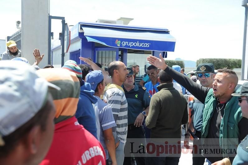 Protesta hortofrutícola en una empresa de El Raal