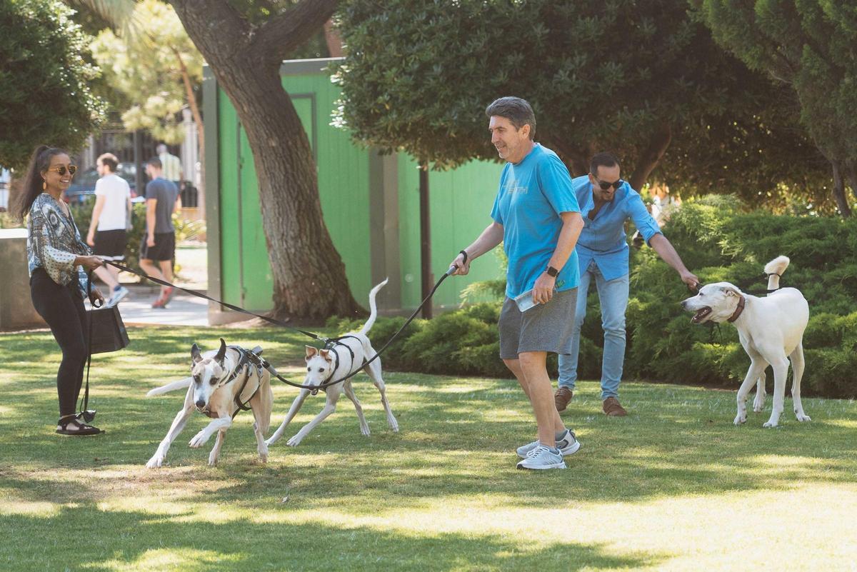 El nou parc de Canet preveu una zona per a mascotes