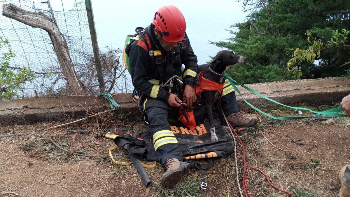 VÍDEO: Los bomberos rescatan a un perro atrapado en Tenerife