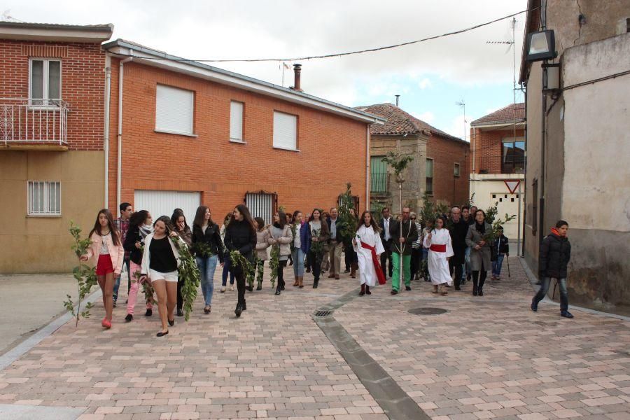 Procesión de Santa María en Fuentesaúco