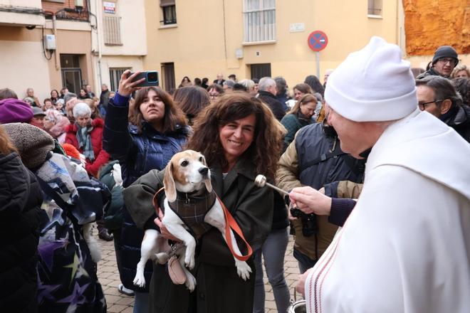 Procesión, bendición de mascotas y subasta de San Antonio Abad