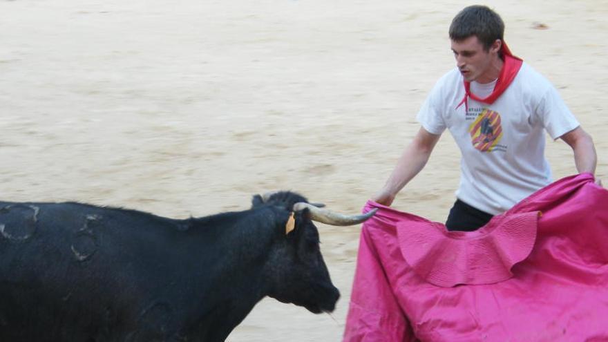 La Mesa admet a tràmit la iniciativa per prohibir els correbous