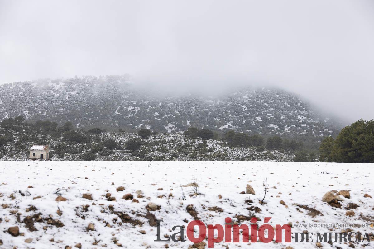 Así se está viviendo la última nevada en las proximidades de Revolcadores en Moratalla Así se está viviendo la última nevada en las proximidades de Revolcadores en Moratalla