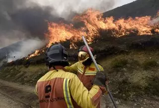 Prendió varios fuegos en Llanes un día con riesgo extremo de incendio, quemaron 23,5 hectáreas y ahora el fiscal pide esta pena