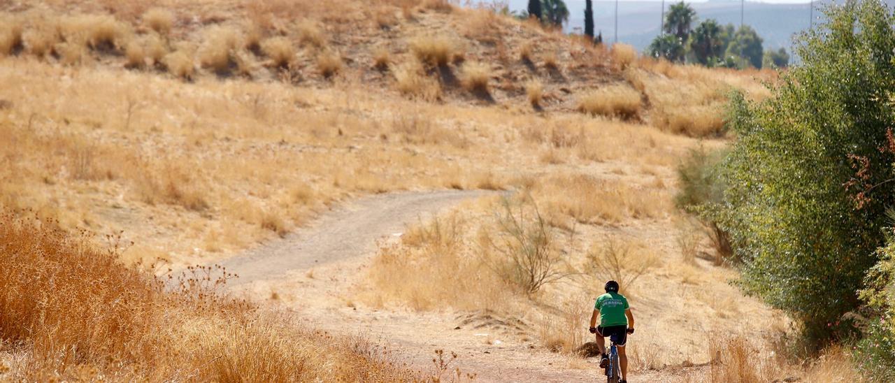 Un ciclista circula por los terrenos donde se instalará la segunda fase del parque de Levante.