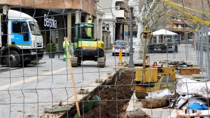 Plantar un arbre al Passeig costa molt més del que sembla