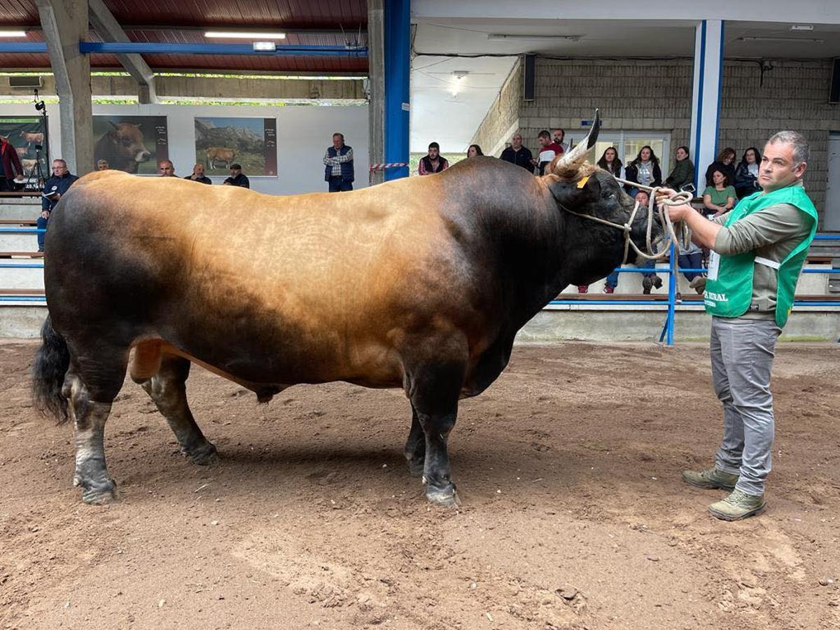 Bolero en Cangas.