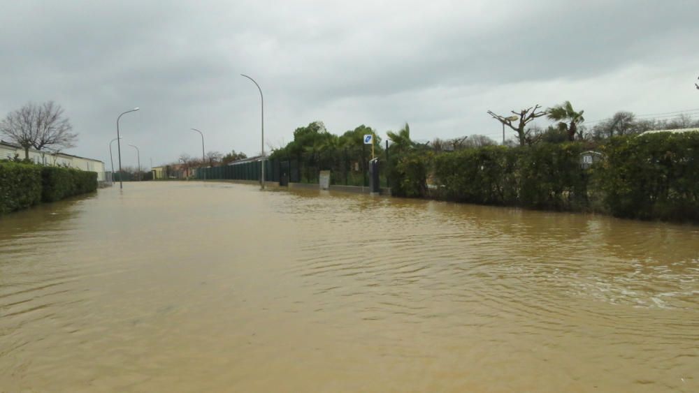 Temporal de vent i aigua a les comarques gironines