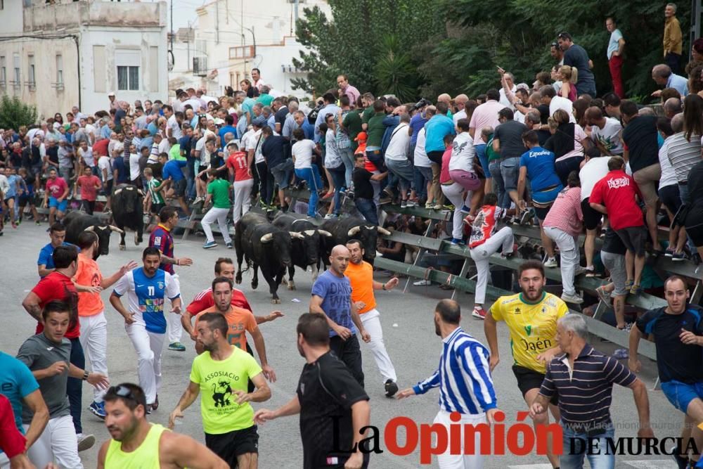 Primer encierro en Calasparra