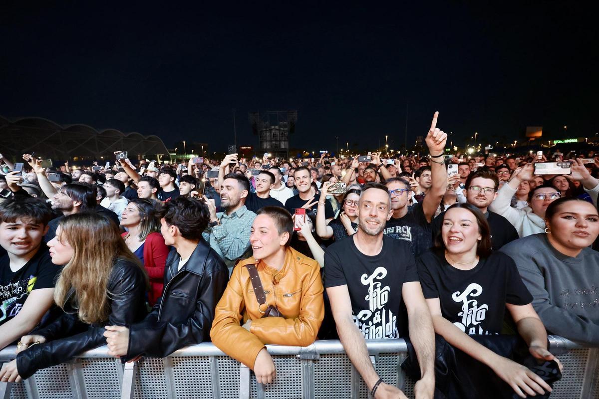 Galería de imágenes: Búscate en el concierto de Fito en Castelló