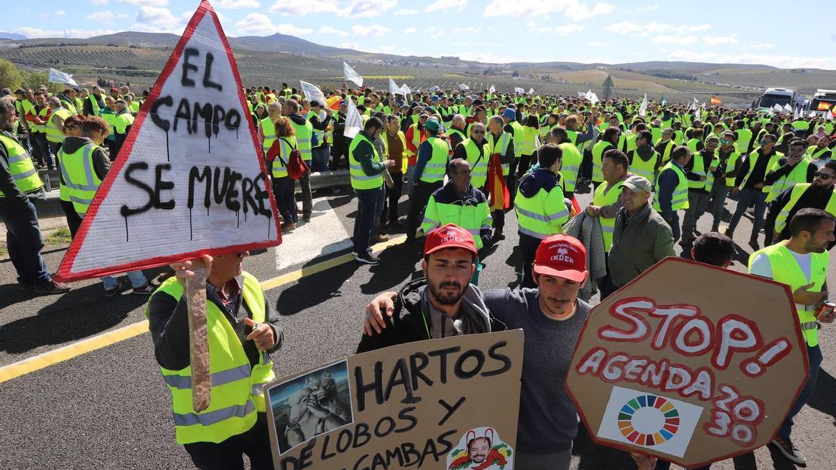 Corte a pie de los agricultores en la A-45 a su paso por Lucena.