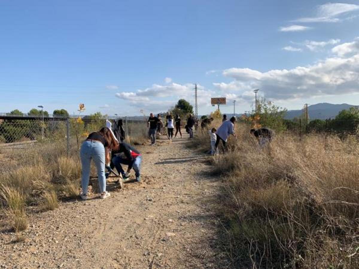 Mollet impulsa una iniciativa perquè la ciutat arribi a tenir 1.700 arbres