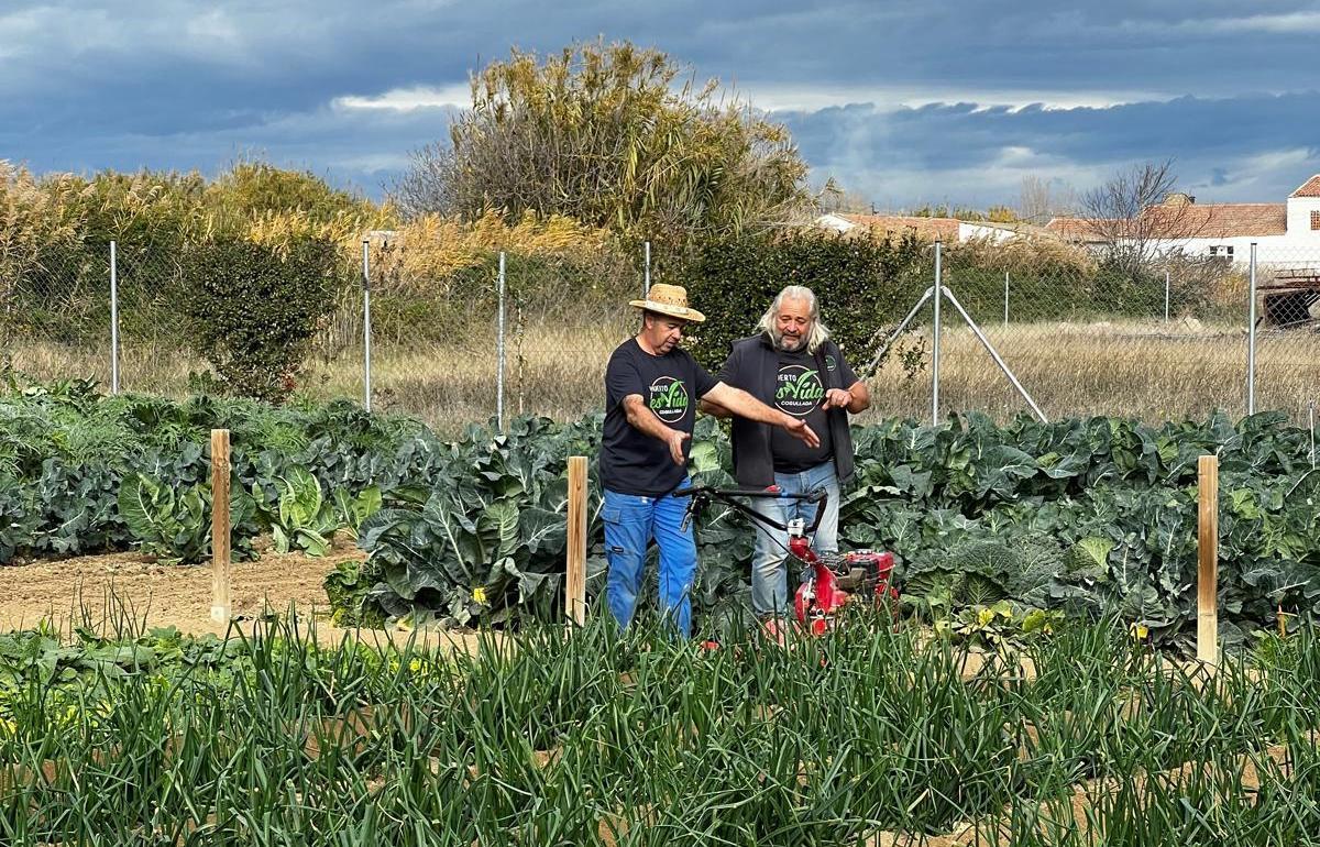 Trabajos llevados a cabo en Huerto es Vida en Cogullada
