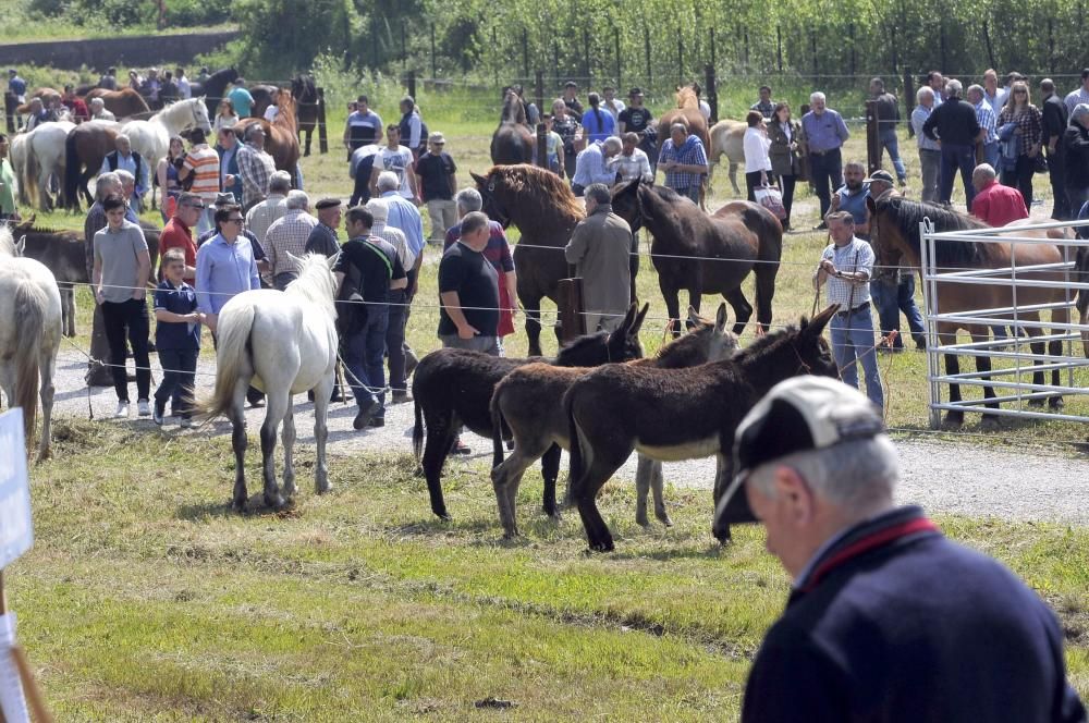 Feria de La Ascensión