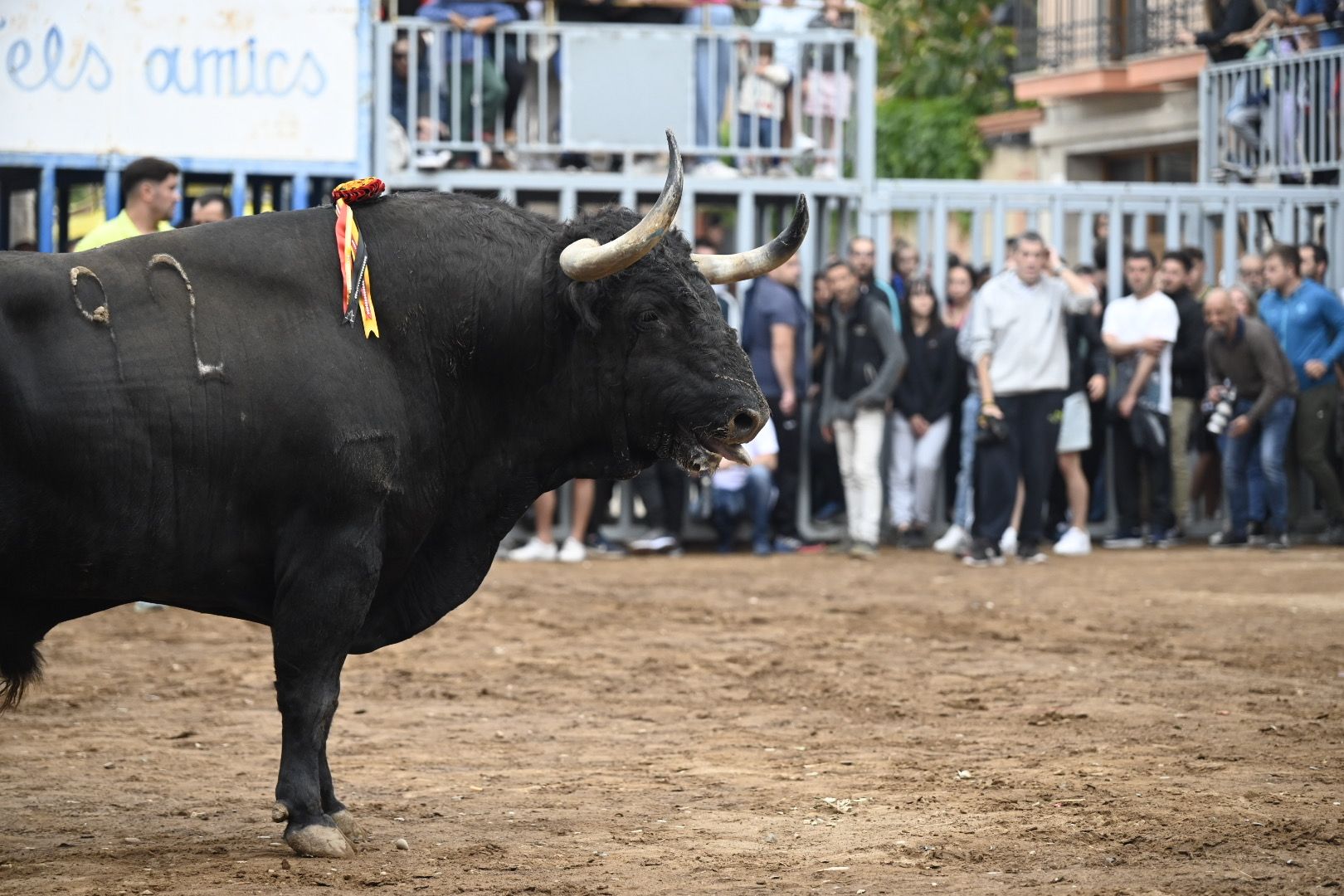 Galería | Las imágenes de la penúltima tarde de toros de las fiestas de Almassora