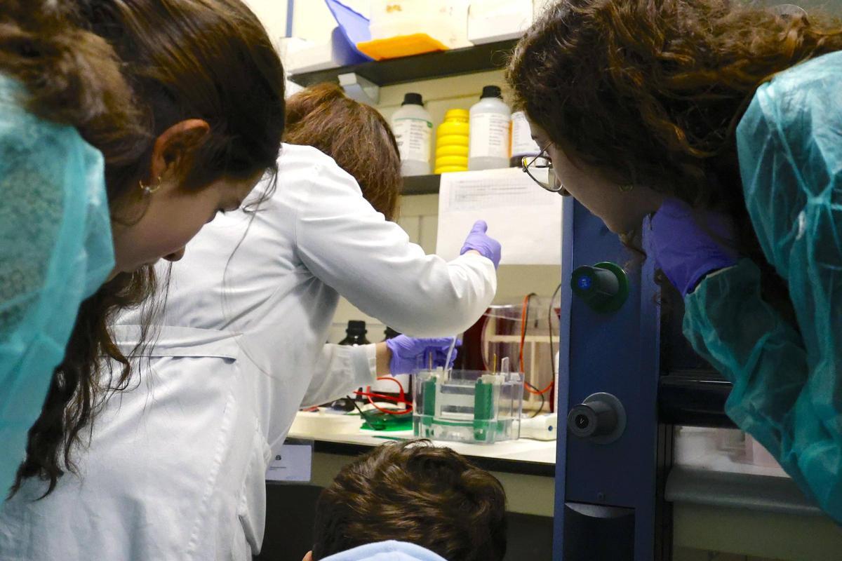 Estudiantes del IES Julián Magariños de Negreira asisten a un taller en un laboratorio del IDIS
