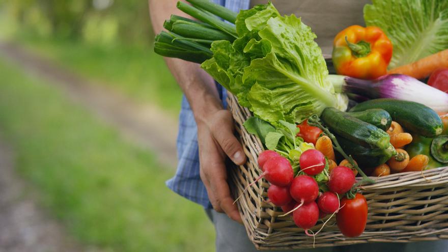 ¿Cuál es el motivo de la fiebre por estos alimentos?