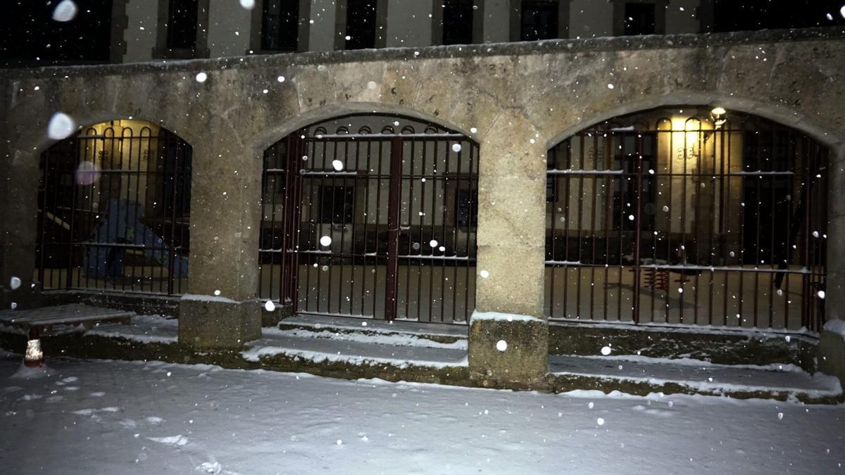 GALERÍA | La nieve del temporal Filomena llega a Aliste