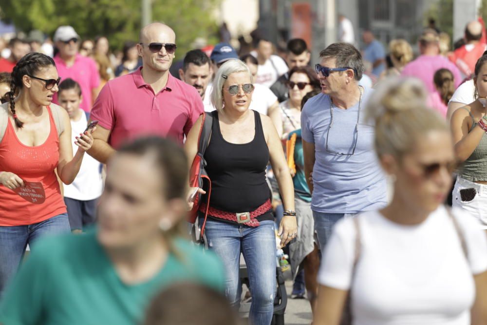 Romería de la Virgen de la Fuensanta en Murcia 2019 (II)