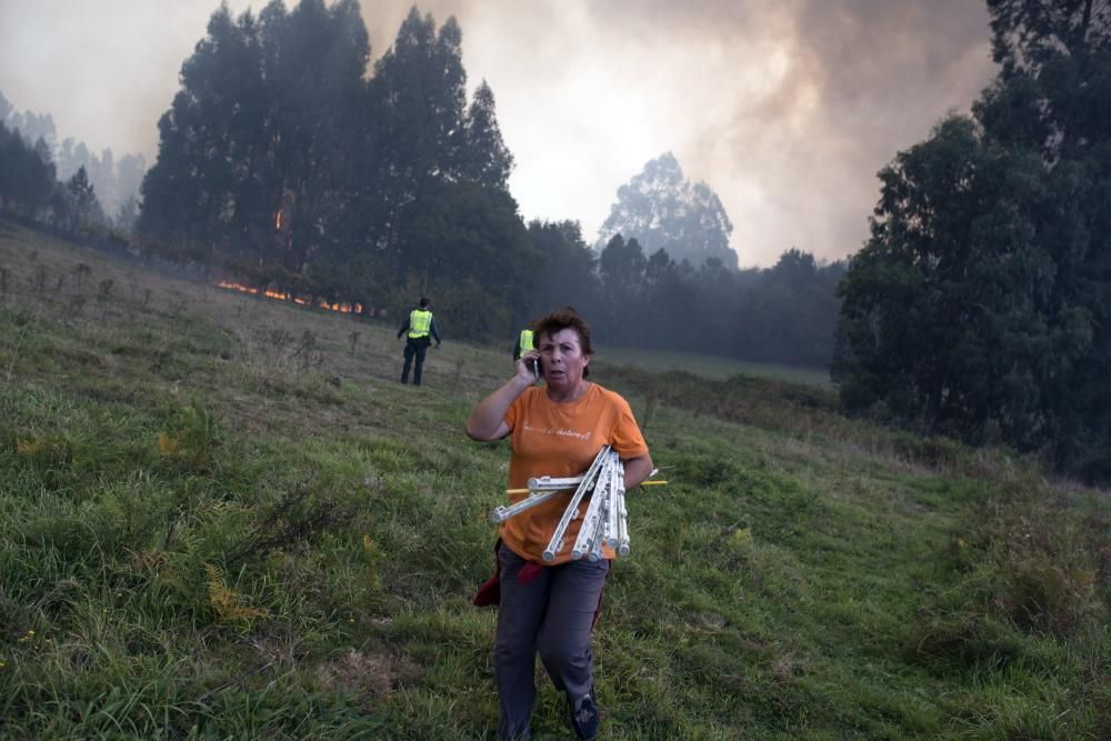 Incendios en Galicia | Fuegos en Ourense