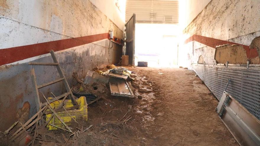 Más de la mitad de las víctimas de la DANA murieron en espacios cerrados