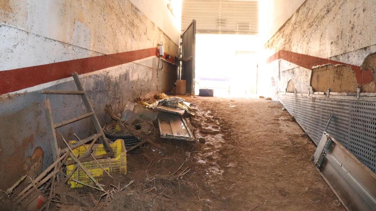La meitat de les víctimes de la dana van morir en plantes baixes o en garatges