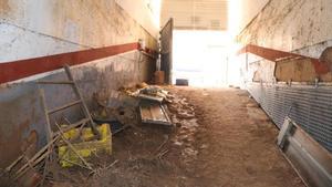 La meitat de les víctimes de la dana van morir en plantes baixes o en garatges