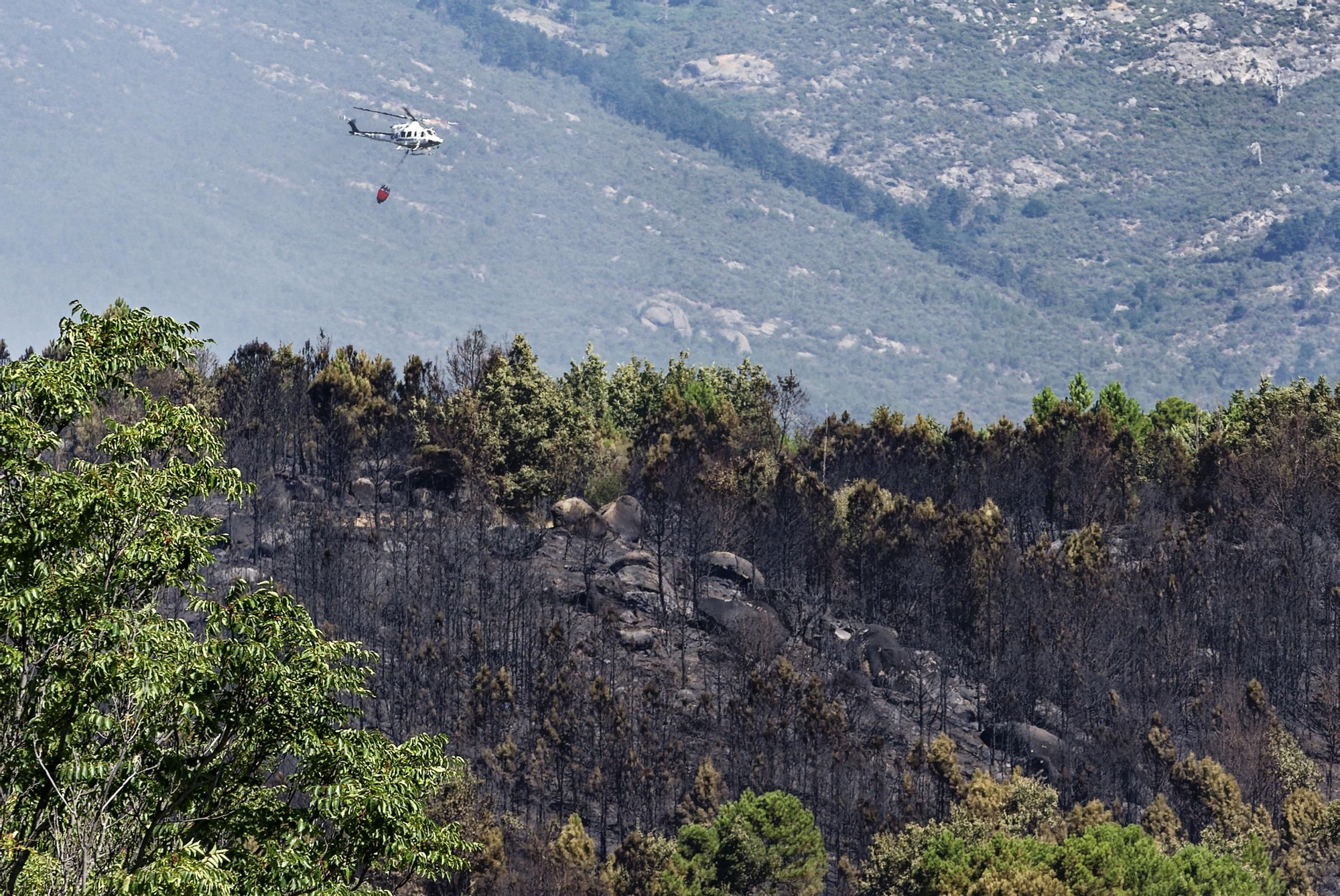El avance del fuego hacia El Arenal (Ávila) obliga a confinar a sus vecinos por el humo