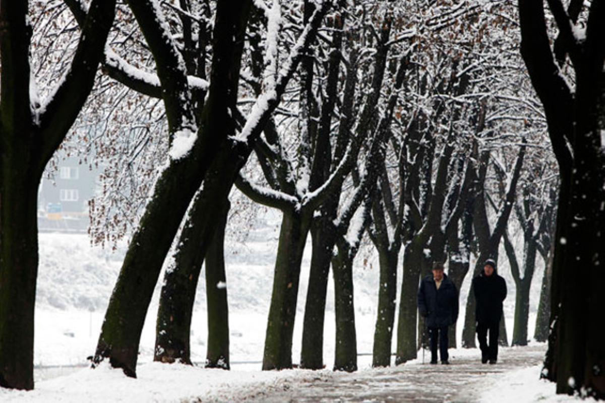 Dos homes passegen en un bosc cobert de neu a prop de la ciutat de Zenica (Bòsnia i Hercegovina).